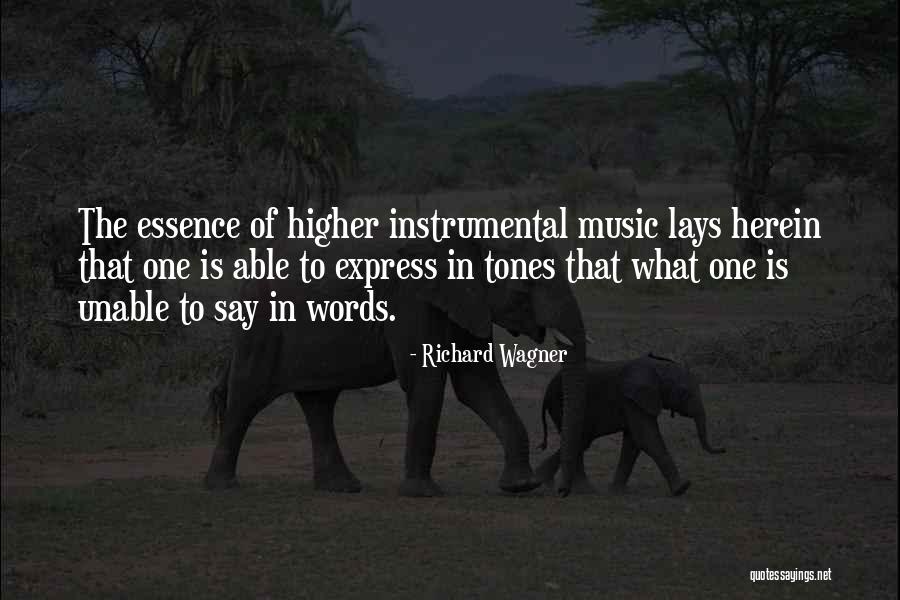 Instrumental Music Quotes By Richard Wagner