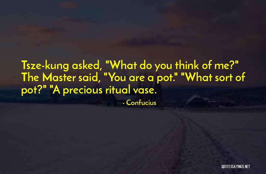 Instrumentalism Quotes By Confucius Instrumentalism Quotes By Confucius
