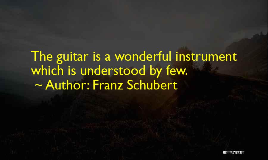 Instruments Quotes By Franz Schubert