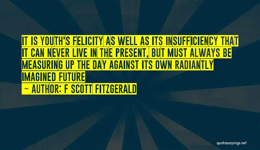 Insufficiency Quotes By F Scott Fitzgerald