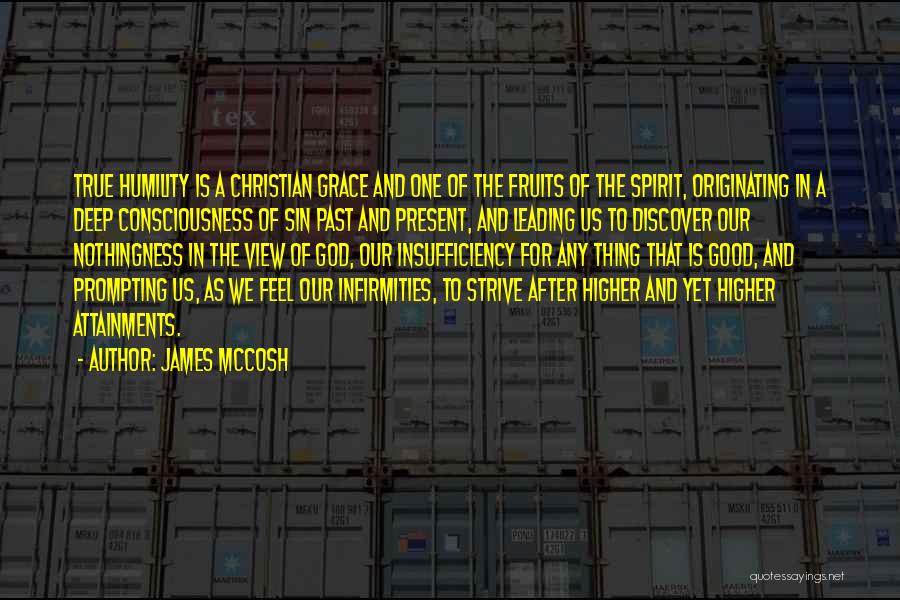 Insufficiency Quotes By James McCosh