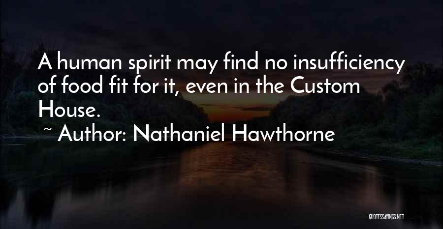 Insufficiency Quotes By Nathaniel Hawthorne