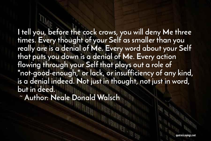 Insufficiency Quotes By Neale Donald Walsch