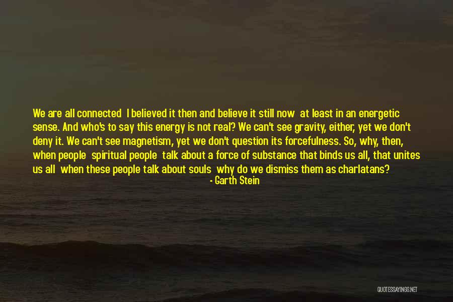 Insuficiente In English Quotes By Garth Stein Insuficiente In English Quotes By Garth Stein
