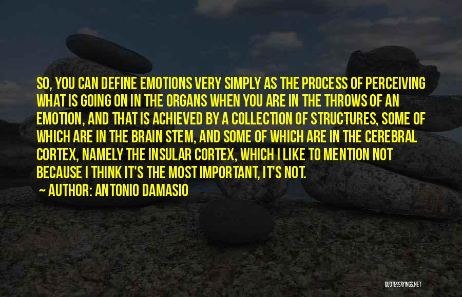 Insular Quotes By Antonio Damasio