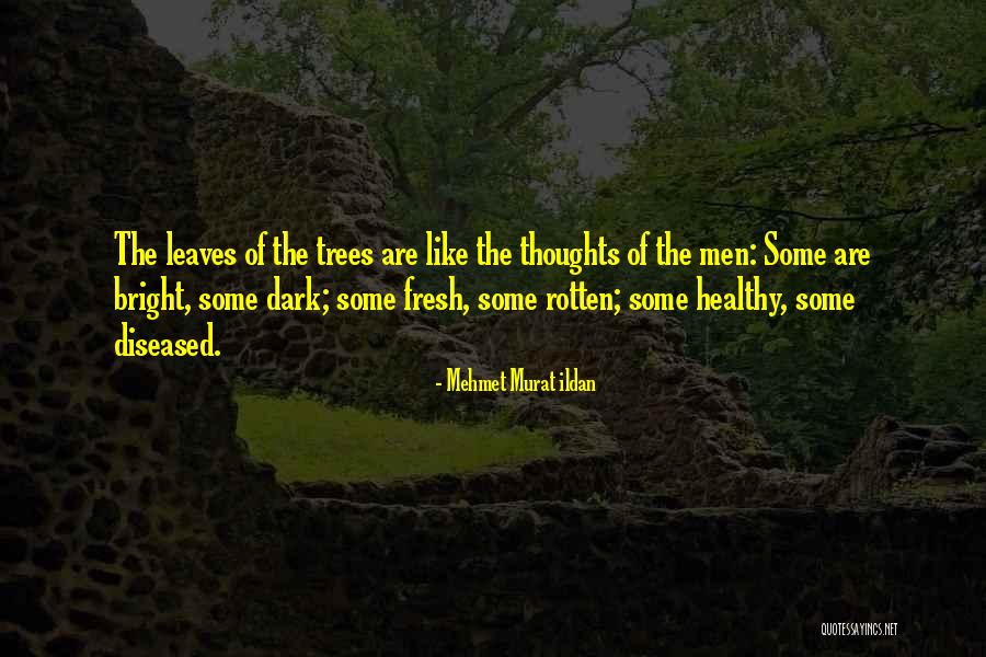 Insulinizacion Quotes By Mehmet Murat Ildan Insulinizacion Quotes By Mehmet Murat Ildan