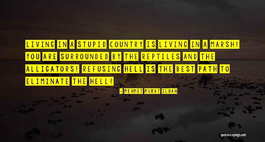 Insulso Definicion Quotes By Mehmet Murat Ildan Insulso Definicion Quotes By Mehmet Murat Ildan