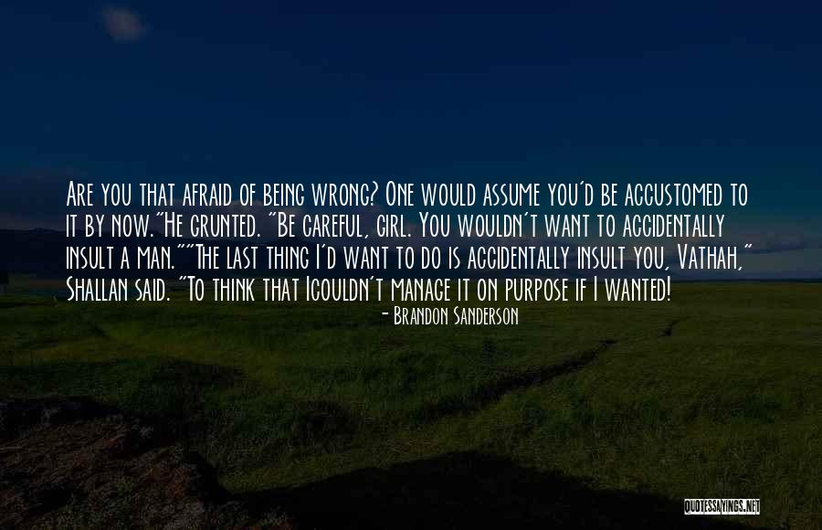 Insult Quotes By Brandon Sanderson