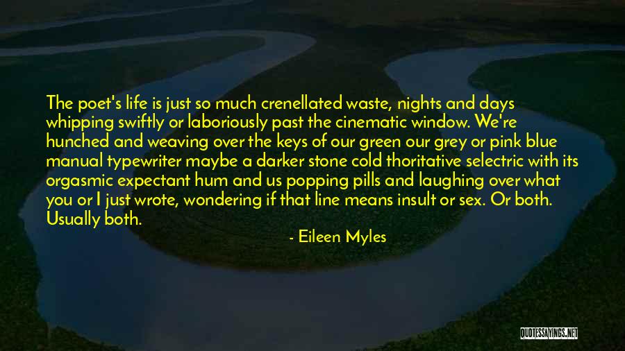 Insult Quotes By Eileen Myles Insult Quotes By Eileen Myles