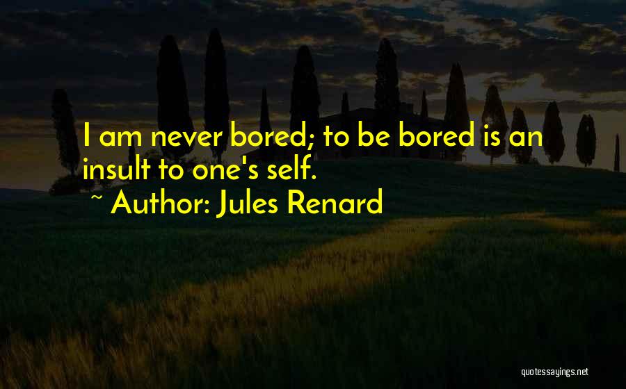 Insult Quotes By Jules Renard