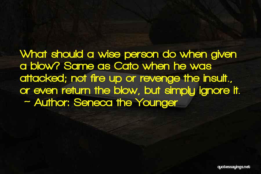 Insult Quotes By Seneca The Younger