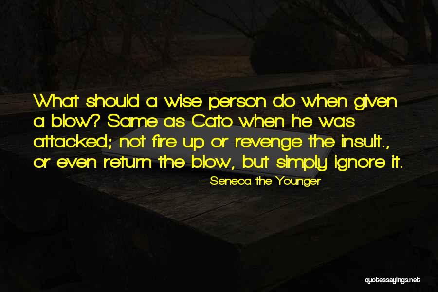 Insult Quotes By Seneca The Younger Insult Quotes By Seneca The Younger