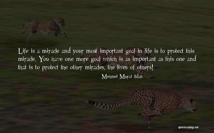 Insulter Synonym Quotes By Mehmet Murat Ildan Insulter Synonym Quotes By Mehmet Murat Ildan