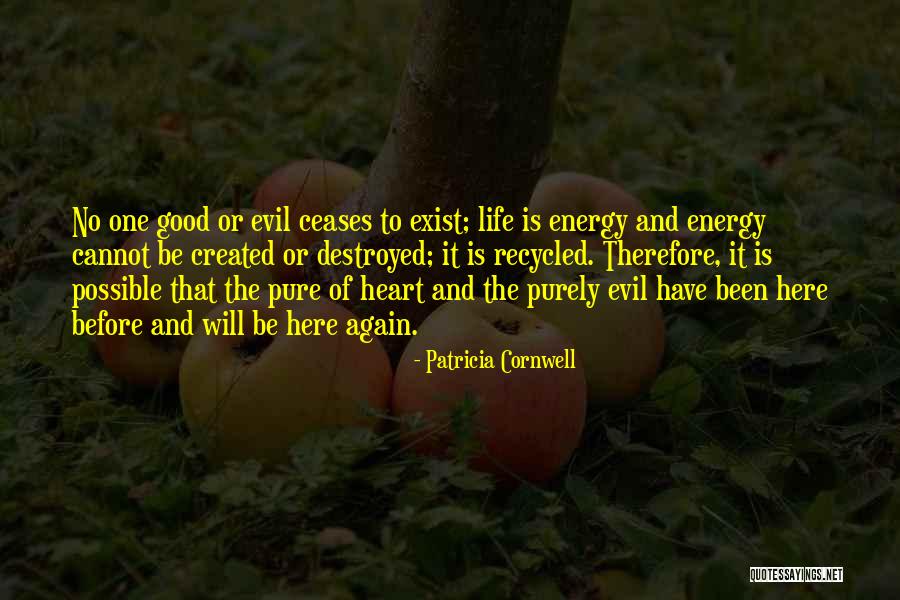 Insultin Quotes By Patricia Cornwell Insultin Quotes By Patricia Cornwell