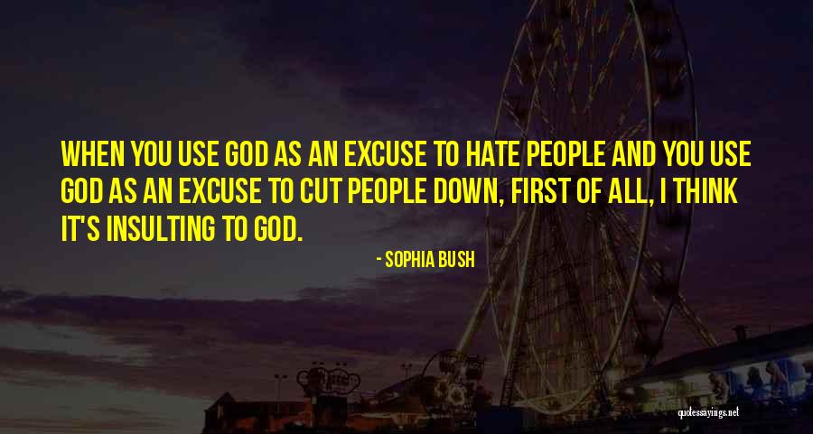 Insulting God Quotes By Sophia Bush