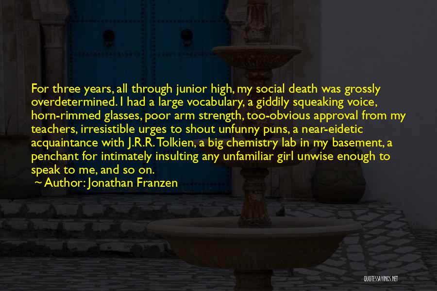 Insulting Yourself Quotes By Jonathan Franzen