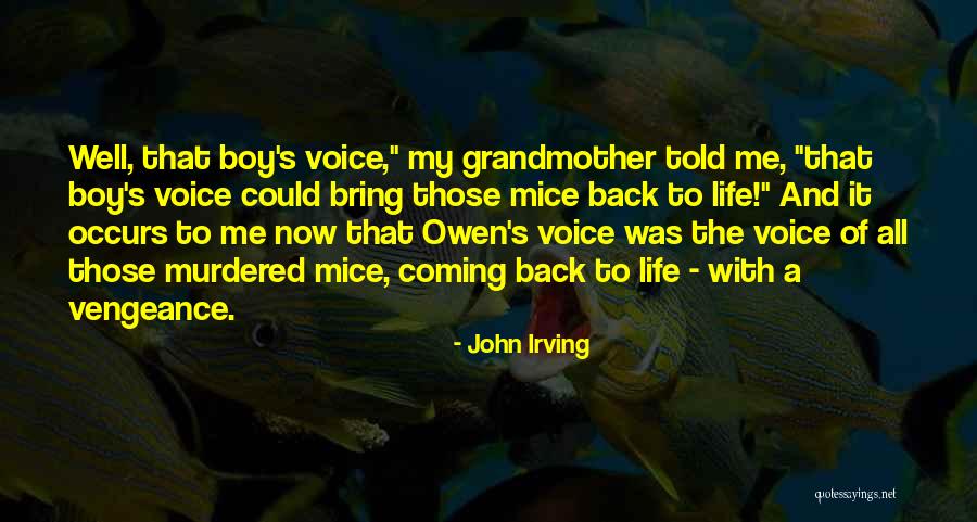 Insumo Definicion Quotes By John Irving Insumo Definicion Quotes By John Irving