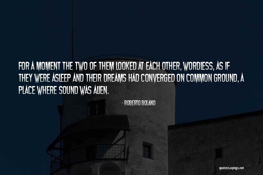 Insumos Hospitalarios Quotes By Roberto Bolano Insumos Hospitalarios Quotes By Roberto Bolano