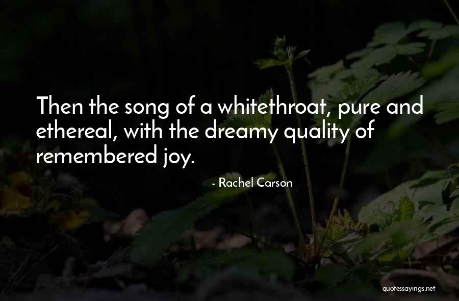 Insupportably Quotes By Rachel Carson Insupportably Quotes By Rachel Carson