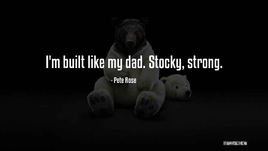 Insurance Bundles Quotes By Pete Rose