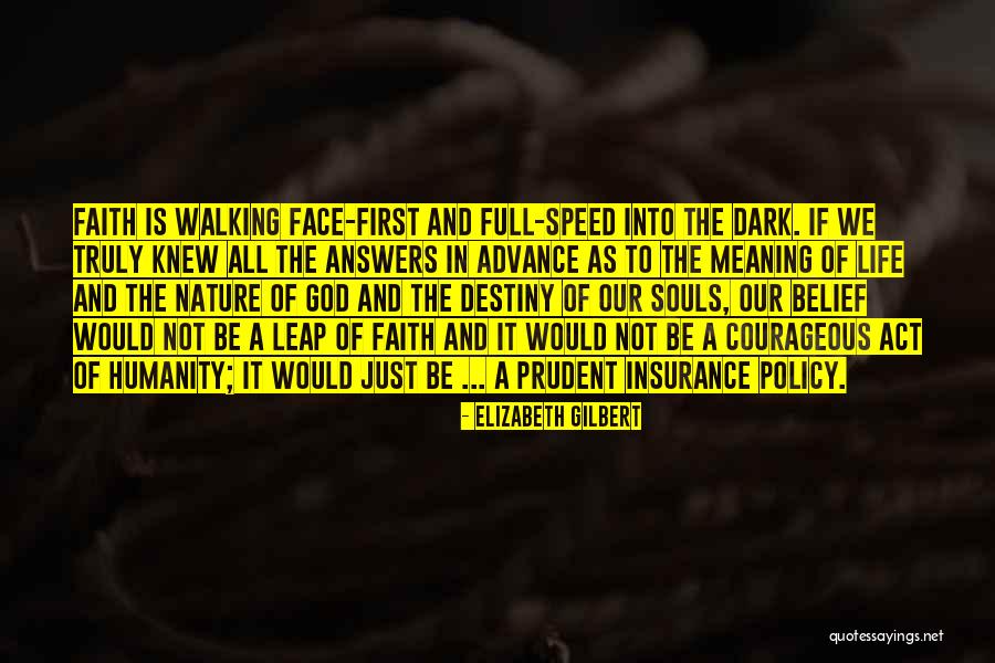 Insurance Policy Quotes By Elizabeth Gilbert