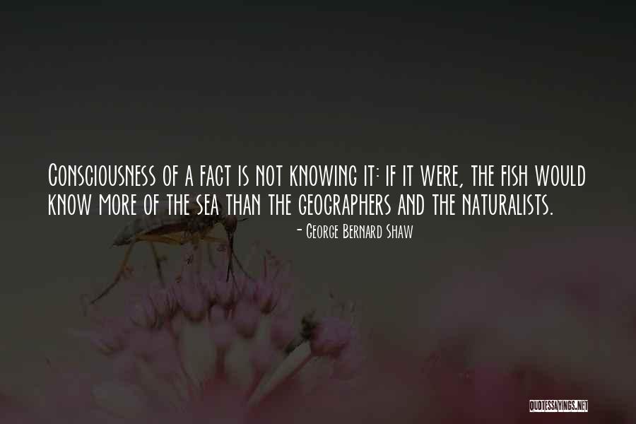 Insured Nation Quotes By George Bernard Shaw Insured Nation Quotes By George Bernard Shaw