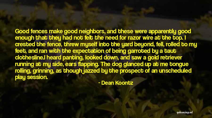 Insureship Quotes By Dean Koontz Insureship Quotes By Dean Koontz