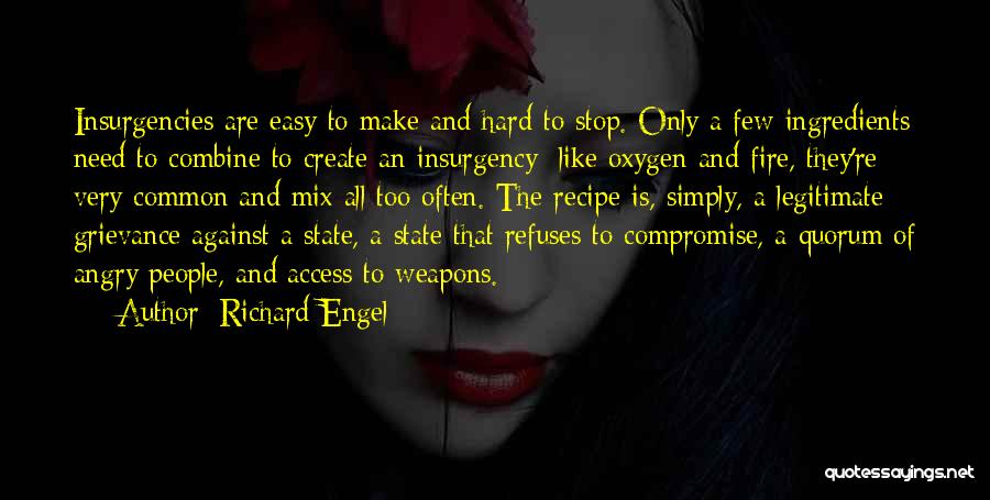 Insurgency Quotes By Richard Engel