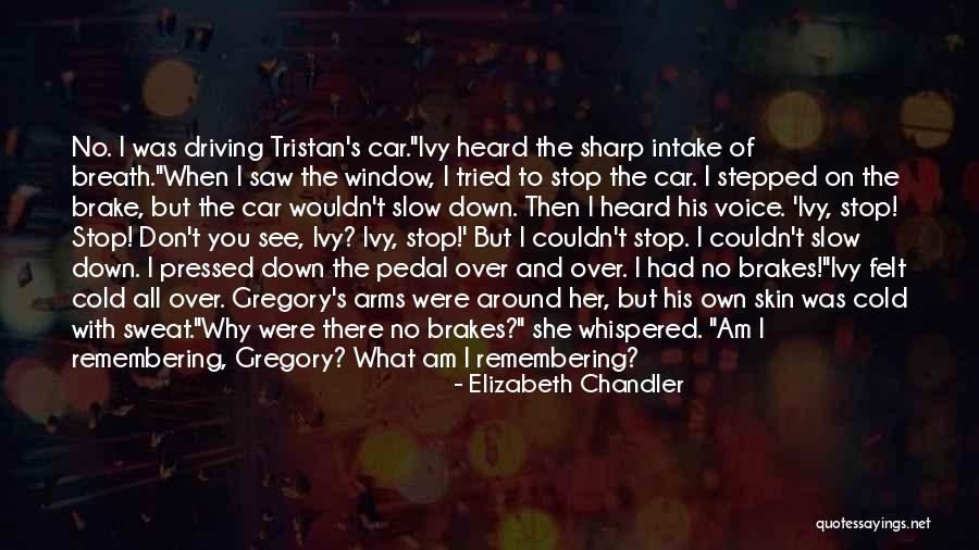 Intake Quotes By Elizabeth Chandler Intake Quotes By Elizabeth Chandler