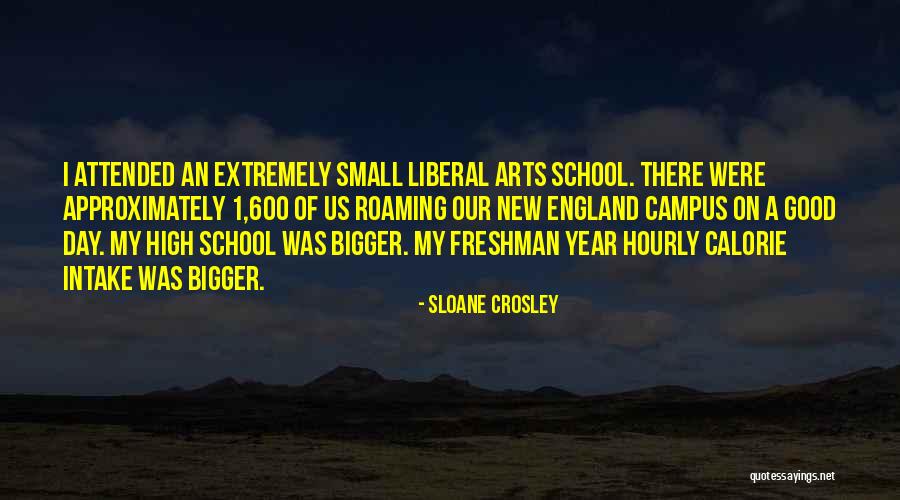 Intake Quotes By Sloane Crosley Intake Quotes By Sloane Crosley