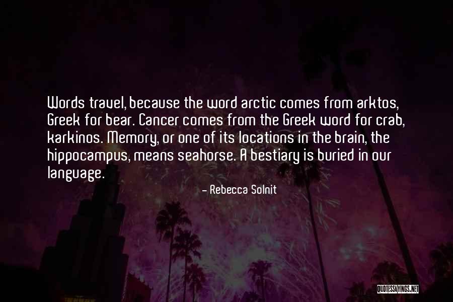 Intalnire Cu Joe Quotes By Rebecca Solnit Intalnire Cu Joe Quotes By Rebecca Solnit