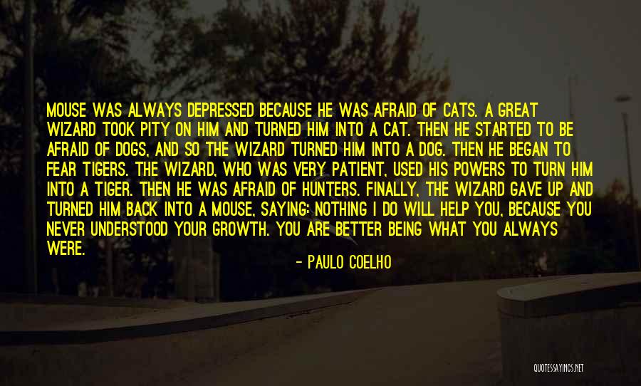 Intatto Chows Quotes By Paulo Coelho Intatto Chows Quotes By Paulo Coelho