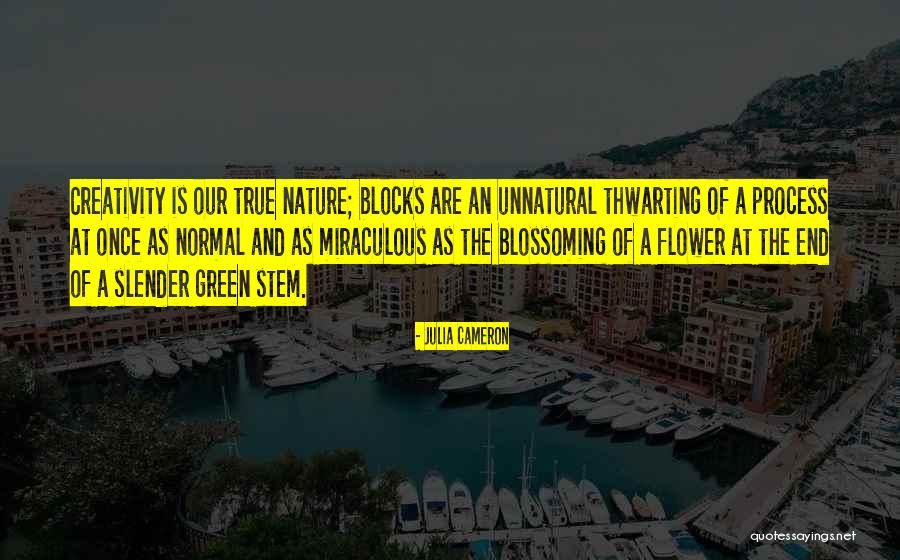 Integral Consciousness Quotes By Julia Cameron Integral Consciousness Quotes By Julia Cameron