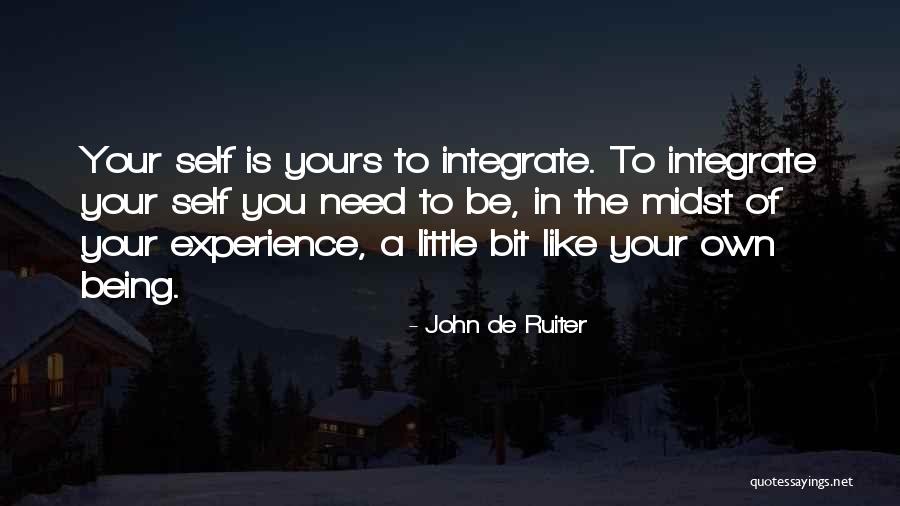 Integrate Quotes By John De Ruiter