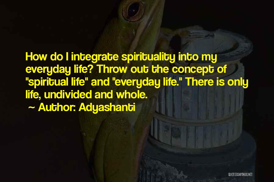 Integrating Quotes By Adyashanti