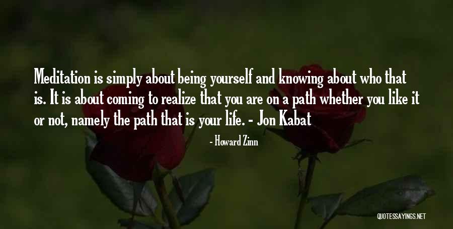 Integration Of Awareness Quotes By Howard Zinn Integration Of Awareness Quotes By Howard Zinn
