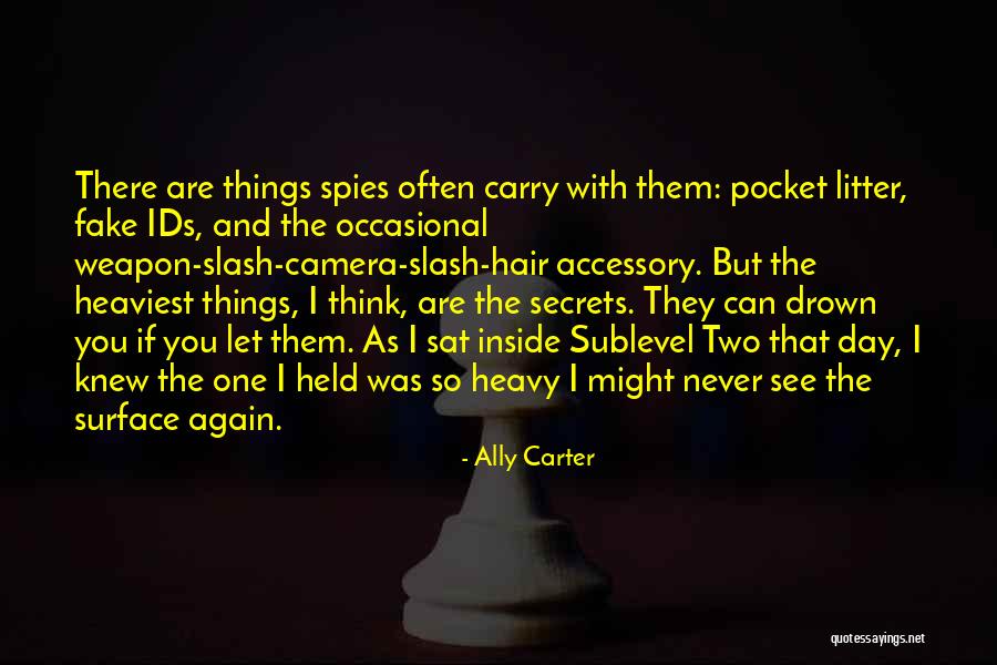 Integraton Quotes By Ally Carter Integraton Quotes By Ally Carter