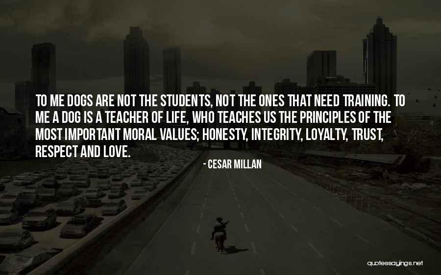 Integrity And Respect Quotes By Cesar Millan Integrity And Respect Quotes By Cesar Millan