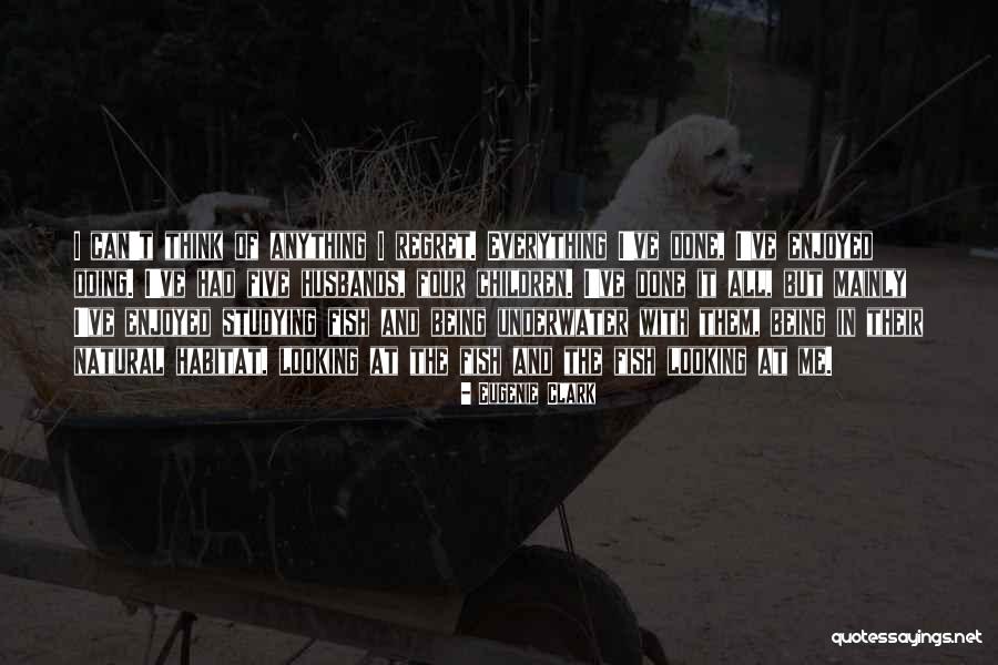 Intelegerea Unui Quotes By Eugenie Clark Intelegerea Unui Quotes By Eugenie Clark