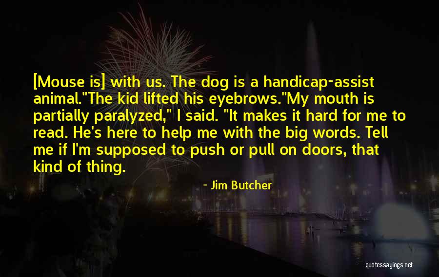 Inteligence Quotes By Jim Butcher Inteligence Quotes By Jim Butcher