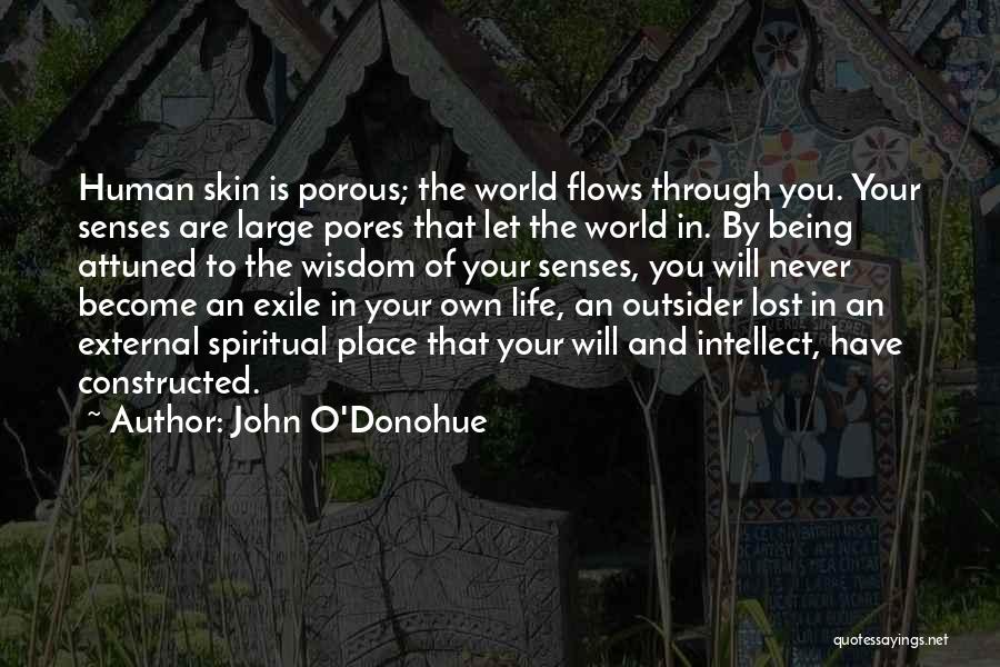 Intellect And Will Quotes By John O'Donohue