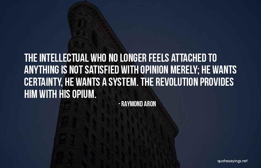 Intellectual Revolution Quotes By Raymond Aron Intellectual Revolution Quotes By Raymond Aron