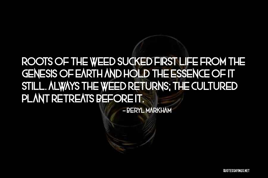 Intellectually Competent Quotes By Beryl Markham Intellectually Competent Quotes By Beryl Markham