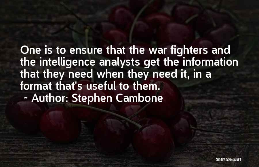 Intelligence Analysts Quotes By Stephen Cambone