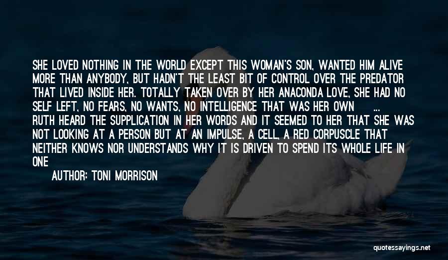 Intelligence And Heart Quotes By Toni Morrison