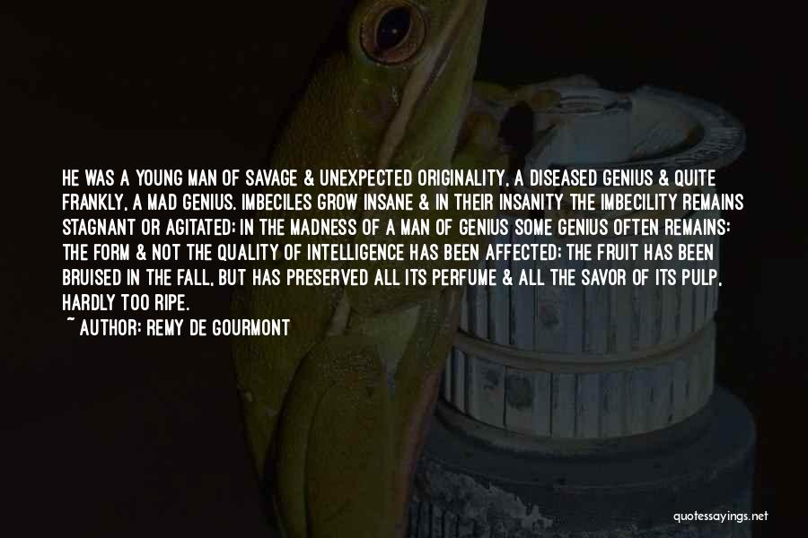 Intelligence And Insanity Quotes By Remy De Gourmont