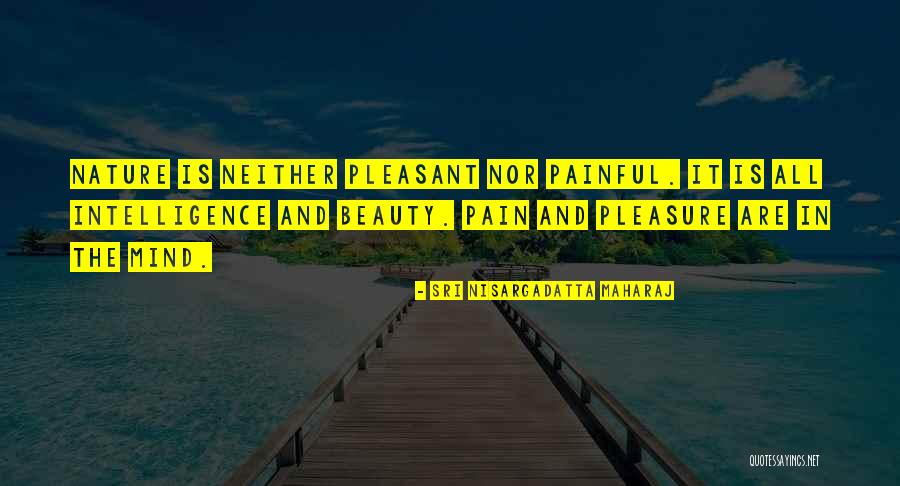 Intelligence Over Beauty Quotes By Sri Nisargadatta Maharaj Intelligence Over Beauty Quotes By Sri Nisargadatta Maharaj
