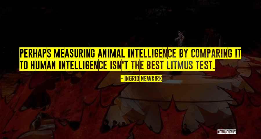 Intelligence Test Quotes By Ingrid Newkirk Intelligence Test Quotes By Ingrid Newkirk