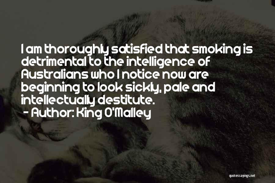 Intelligence Vs Looks Quotes By King O'Malley