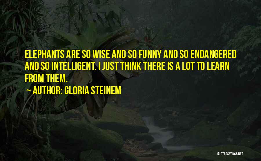 Intelligent And Funny Quotes By Gloria Steinem